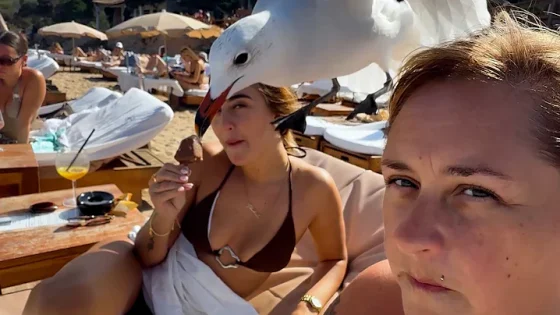 Viral Idiots Compilation Best Fails of the Week