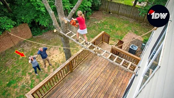 TOTAL IDIOTS AT WORK #795 Instant Regret Fails Compilation 2025 Best of the Week