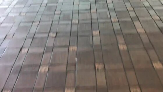 I Stopped Driving After a Car Accident