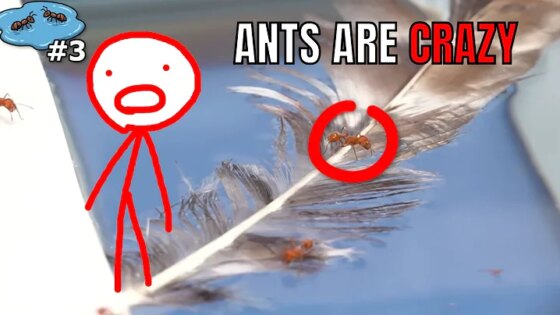 1000 Ants vs Natural Disasters