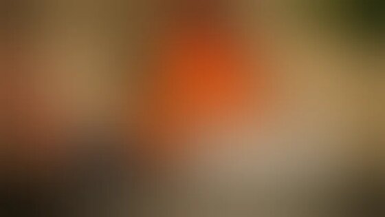 insane car crashes compilation - best of car accidents 2025