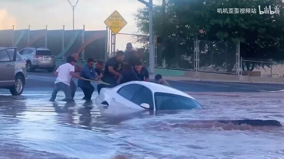 Nature's Fury: A Global Collection of Natural Disasters