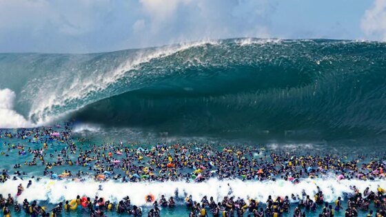 Nature videos but they get increasingly more crazy