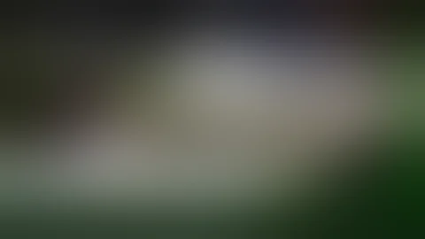 Collection of Exotic Car Accidents